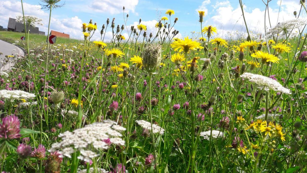 Gemuetliches Haeuschen Im Alten Land ยอร์ค ภายนอก รูปภาพ