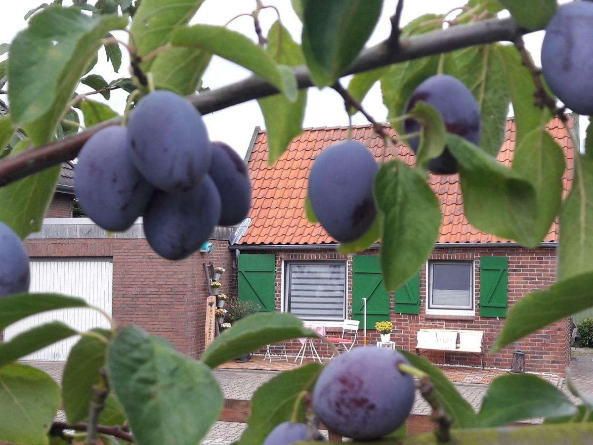 Gemuetliches Haeuschen Im Alten Land ยอร์ค ภายนอก รูปภาพ